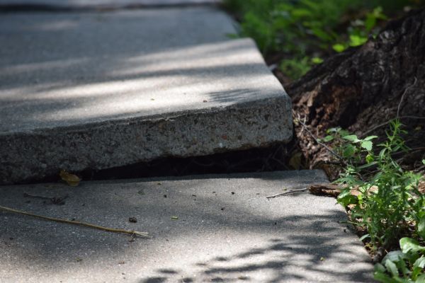 Sidewalk Leveling in Marysville